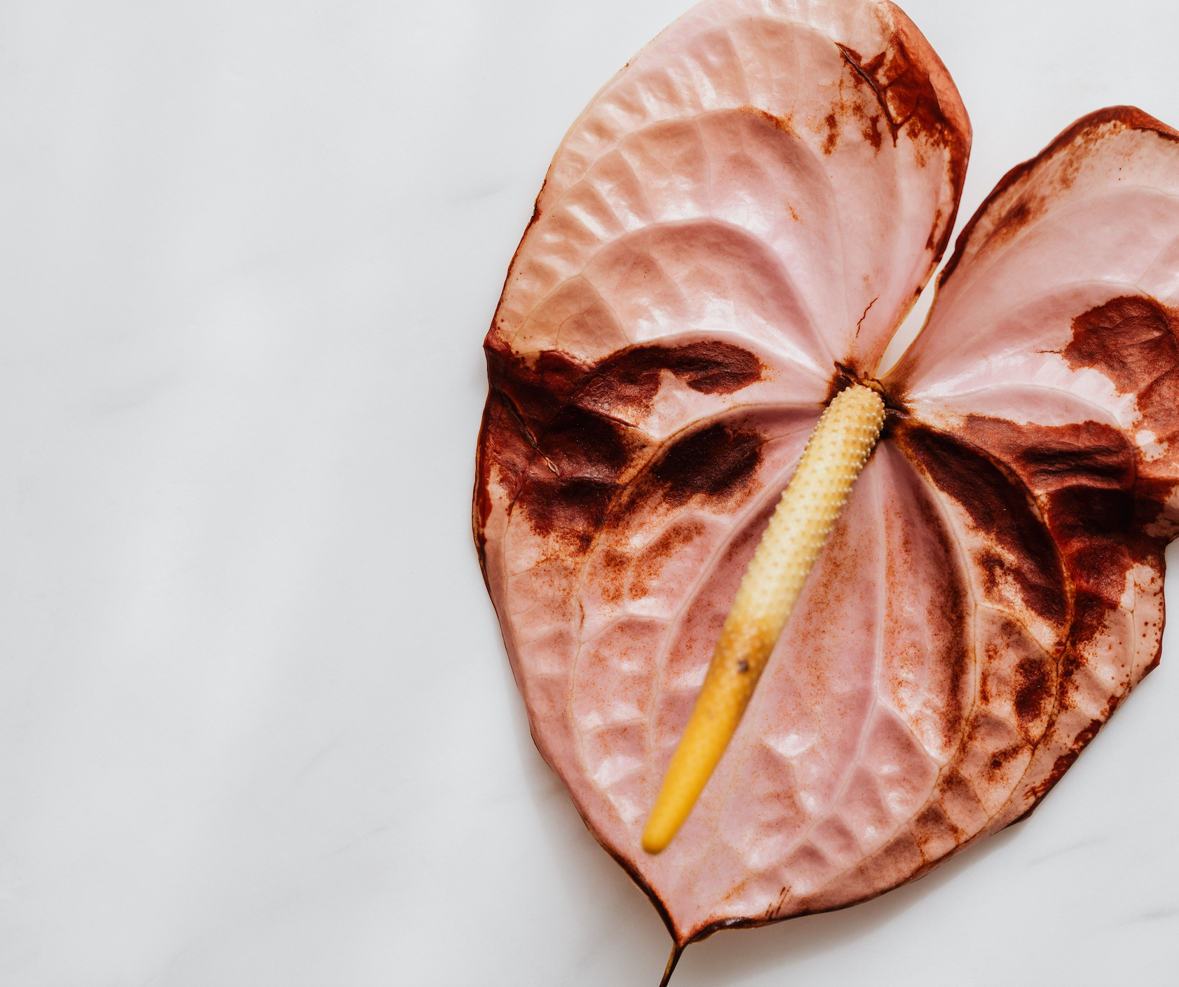 Brown discharge before your period