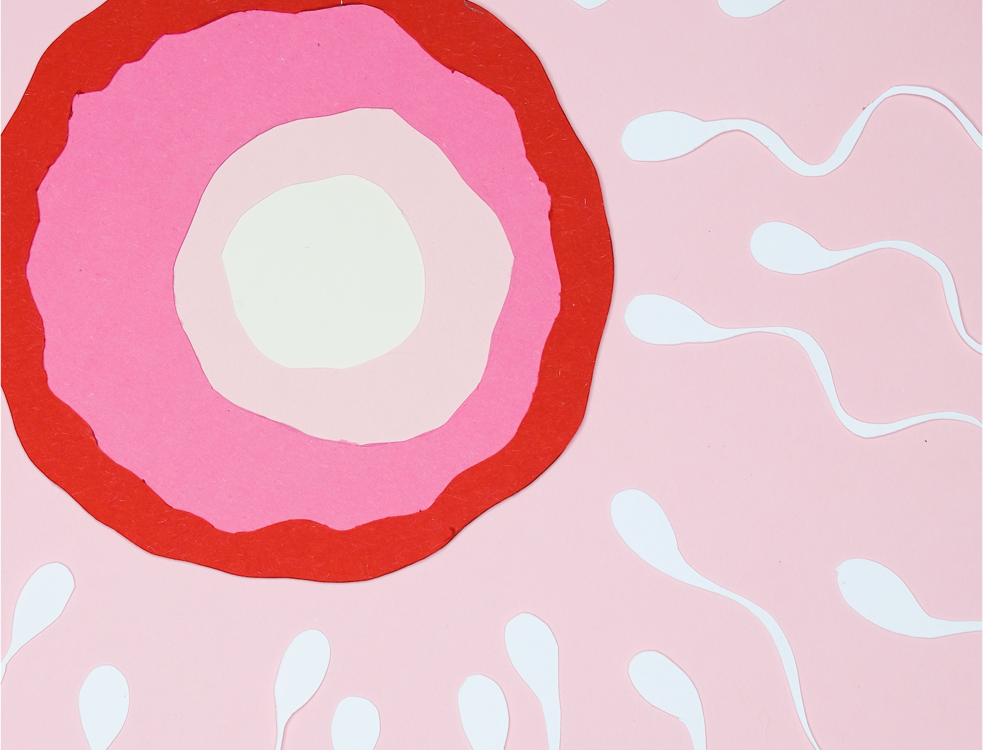 Can I get pregnant when I’m ovulating?