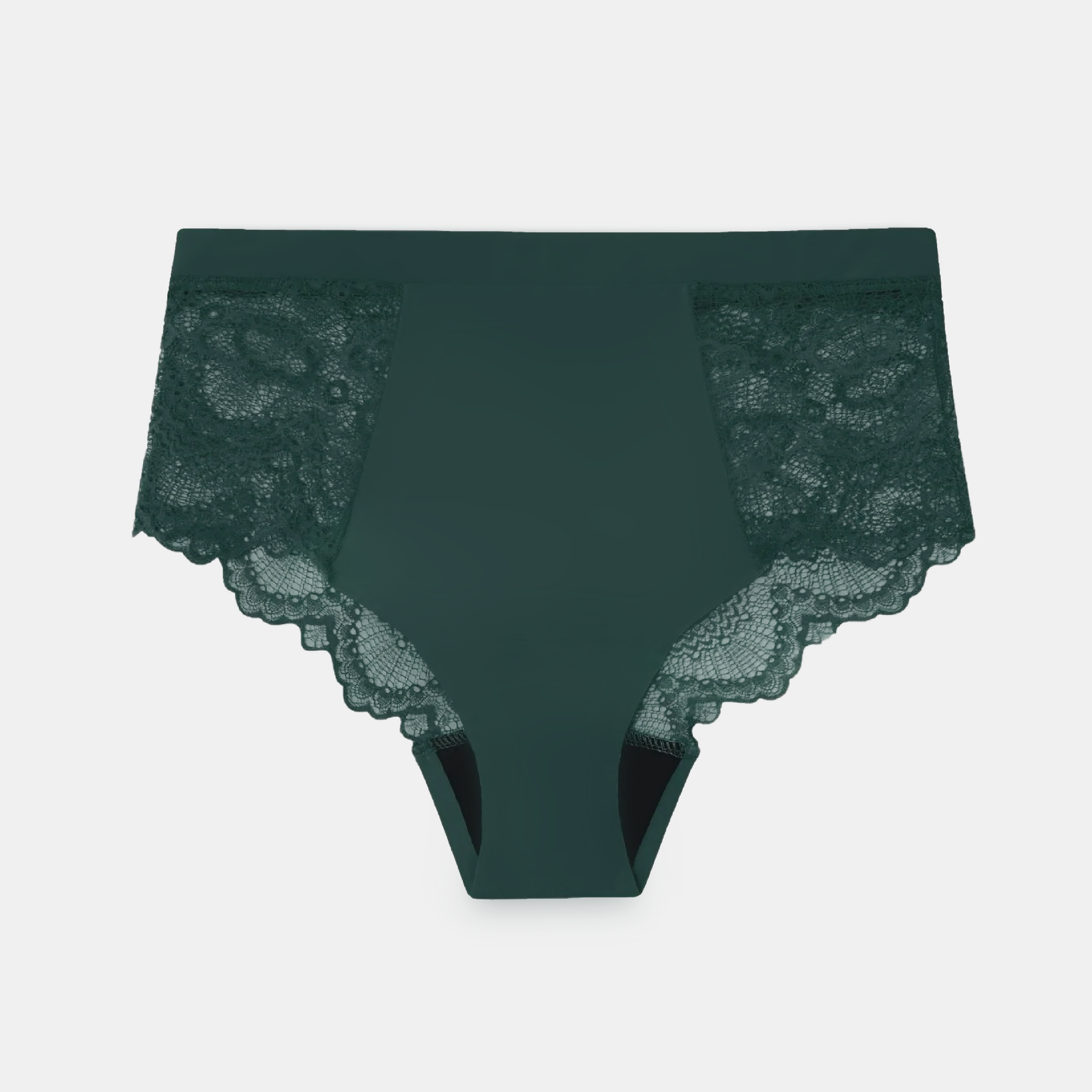 Understatement Lace Period Highwaist Briefs