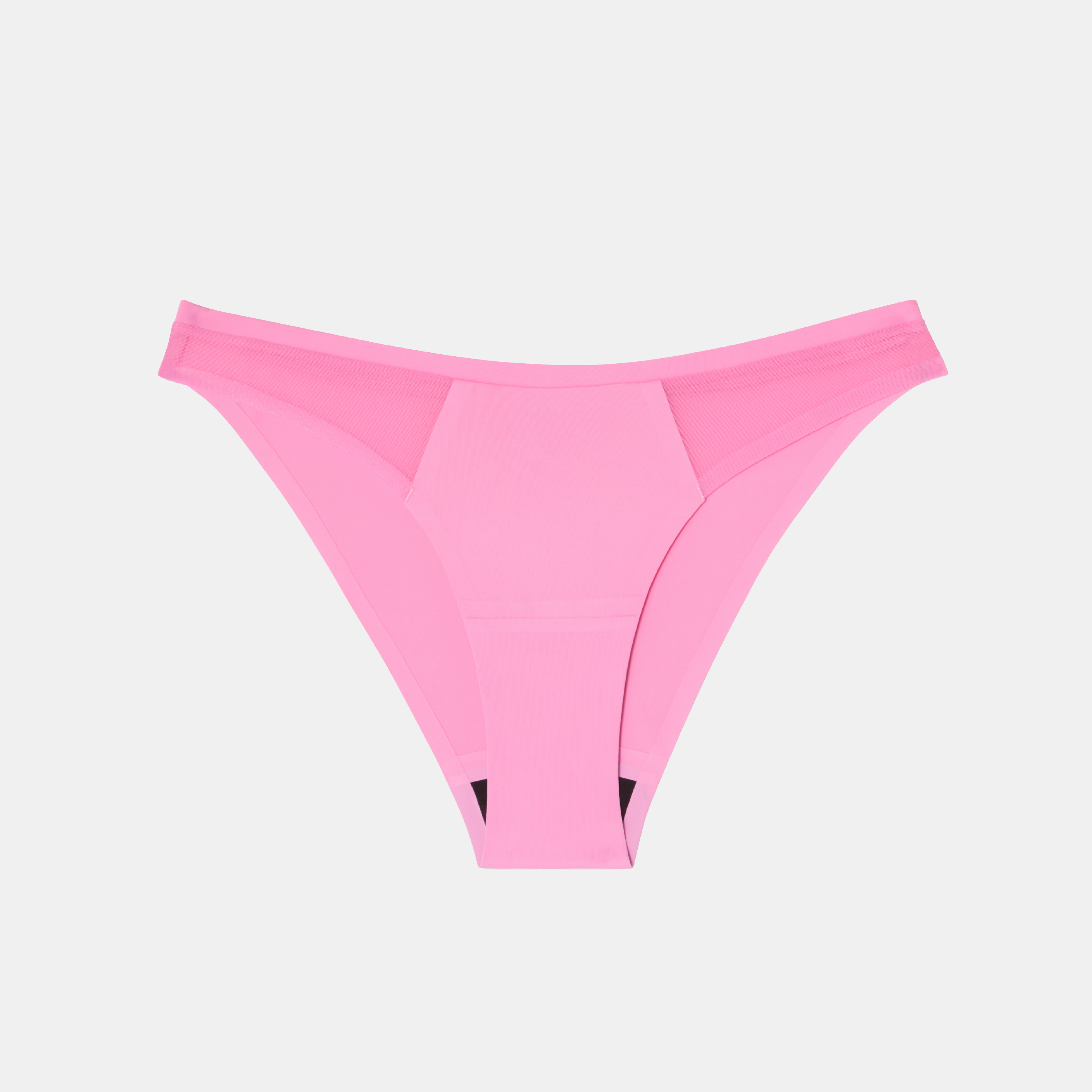 Understatement Micro Period Bikini Briefs
