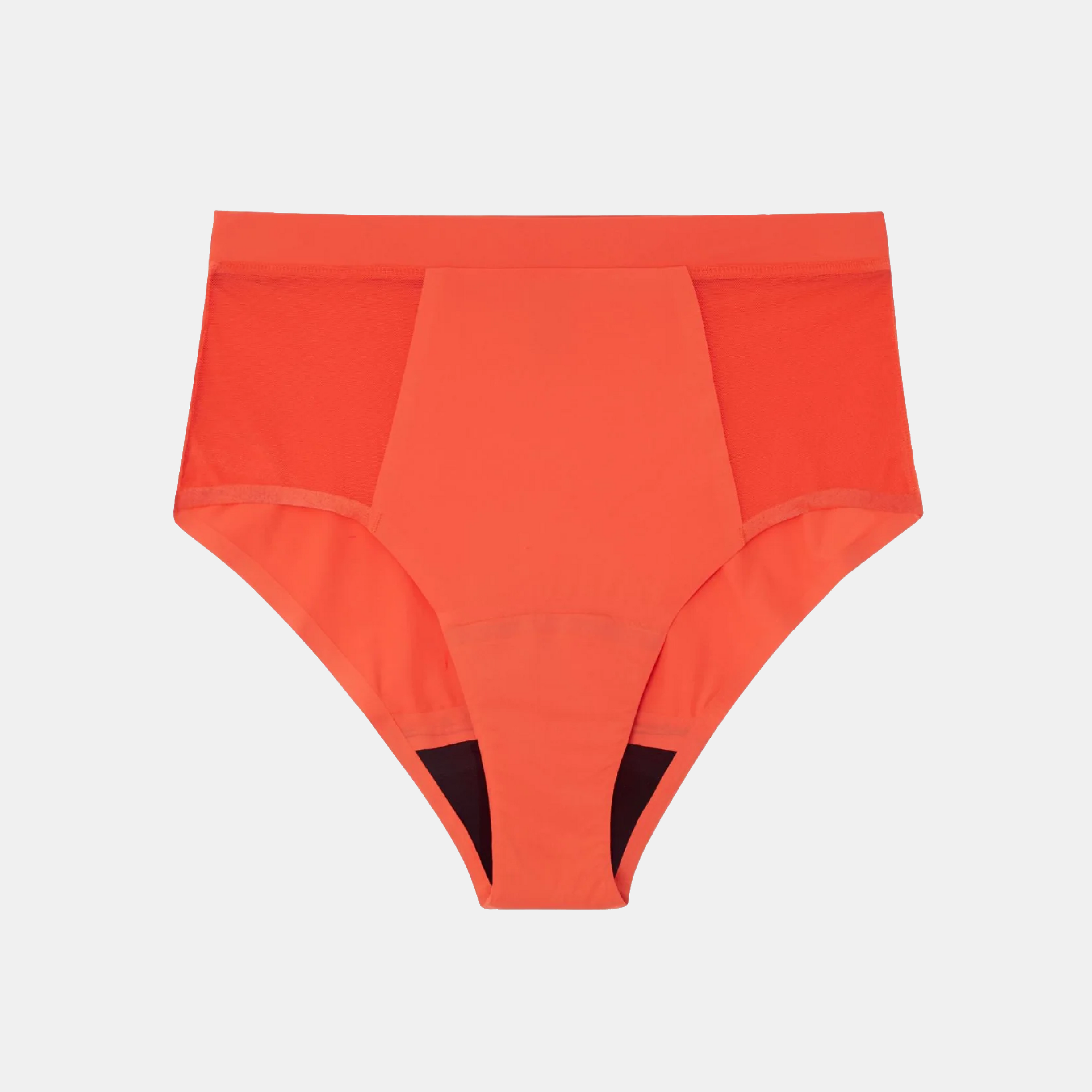 Understatement Micro period highwaist briefs