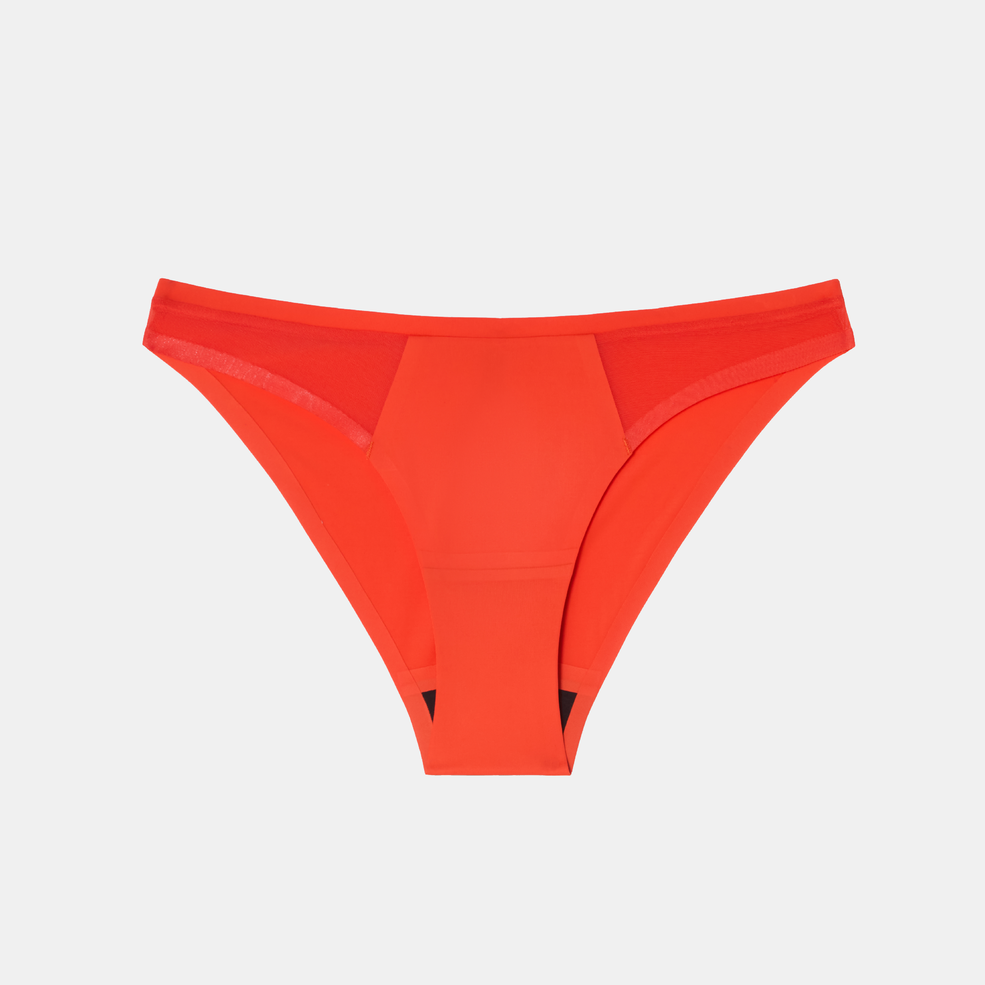 Understatement Micro Period Bikini Briefs